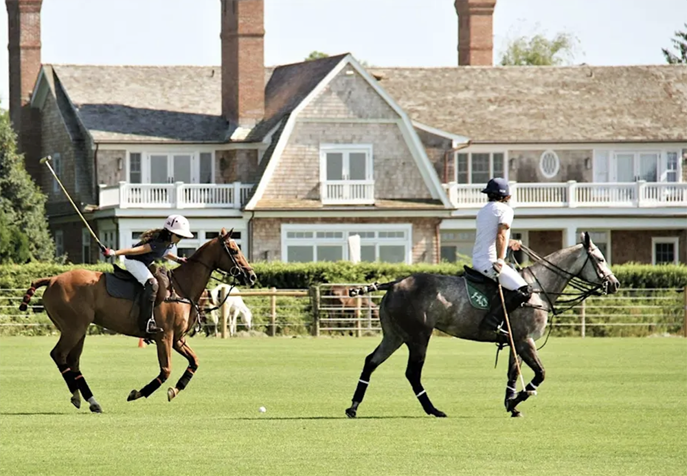 An Exclusive Polo Experience in Wellington